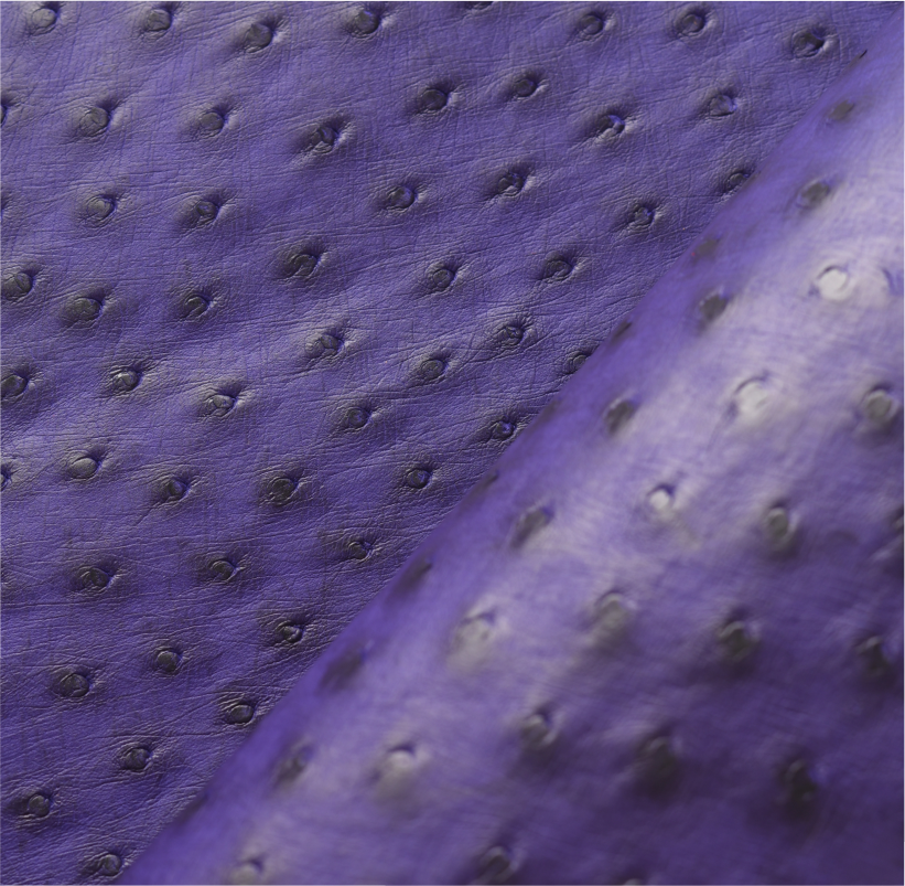 Cuir d’Autruche Violet Royal