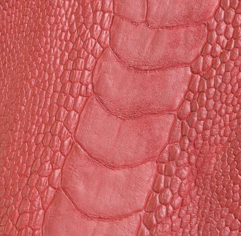 Patte d'Autruche Rouge Brique