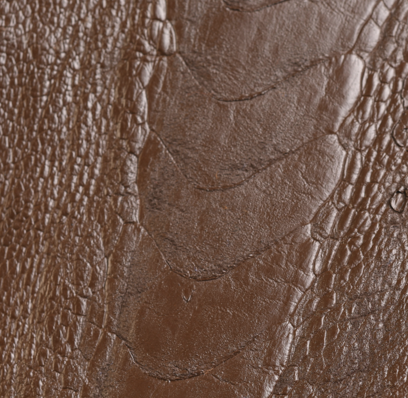 Patte d'Autruche Marron Sombre