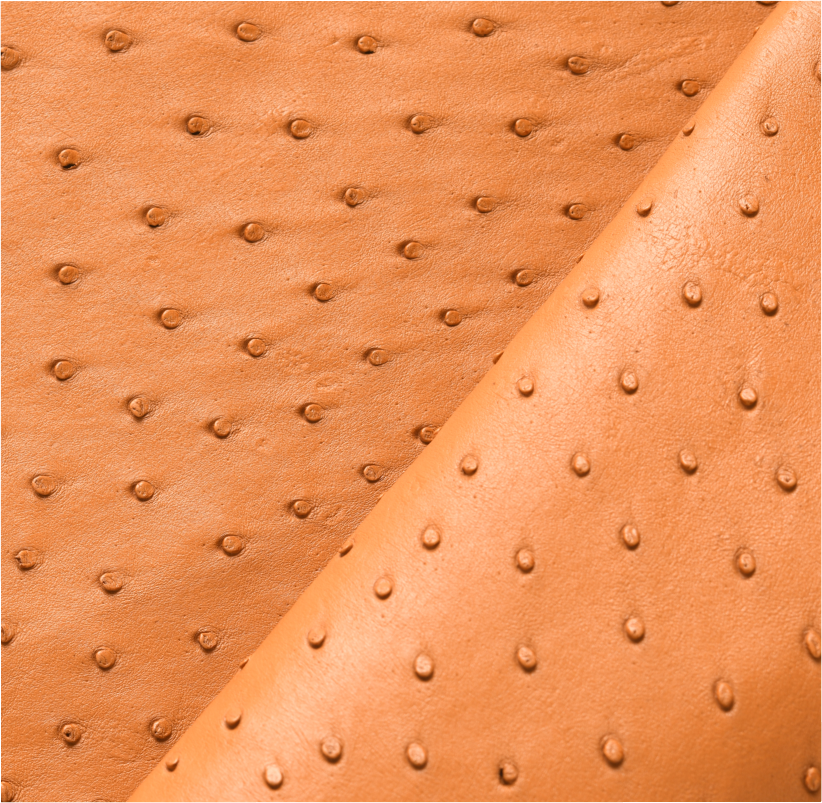 Cuir d’Autruche Cognac