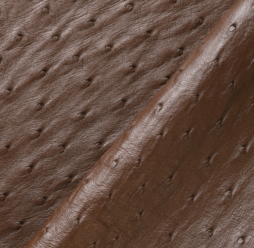 Cuir d’Autruche Marron Chocolat