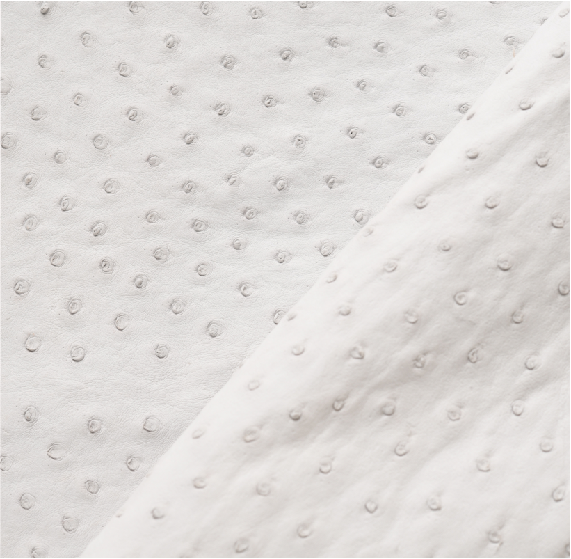 Cuir d’Autruche Blanc Neige