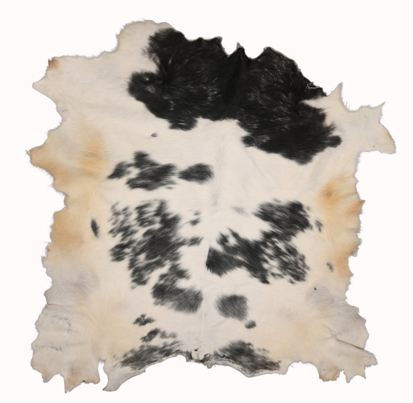 Peau de Veau Blanc Blue