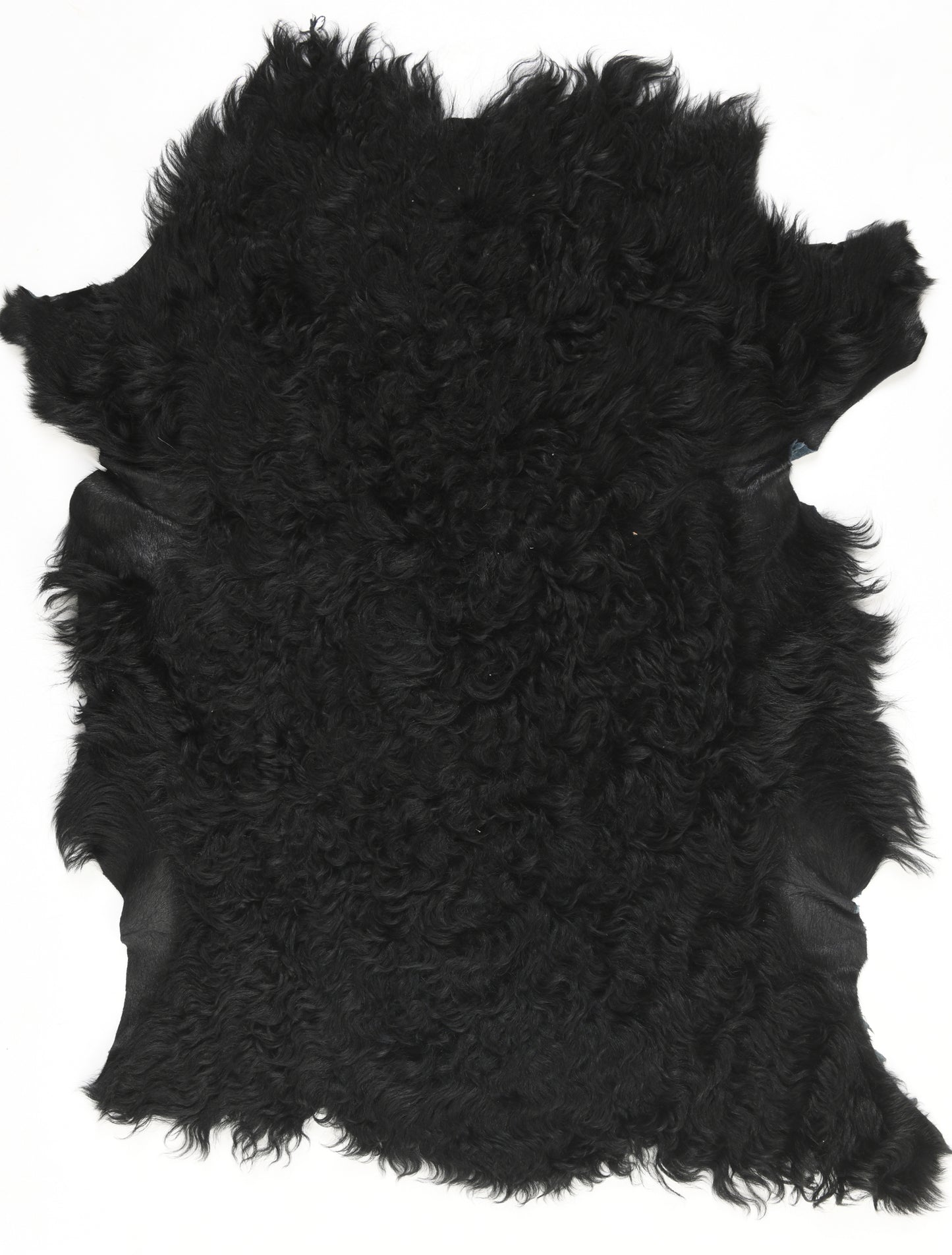 Peau d’Agneau Noire Brillante – Laine Bouclée Teintée
