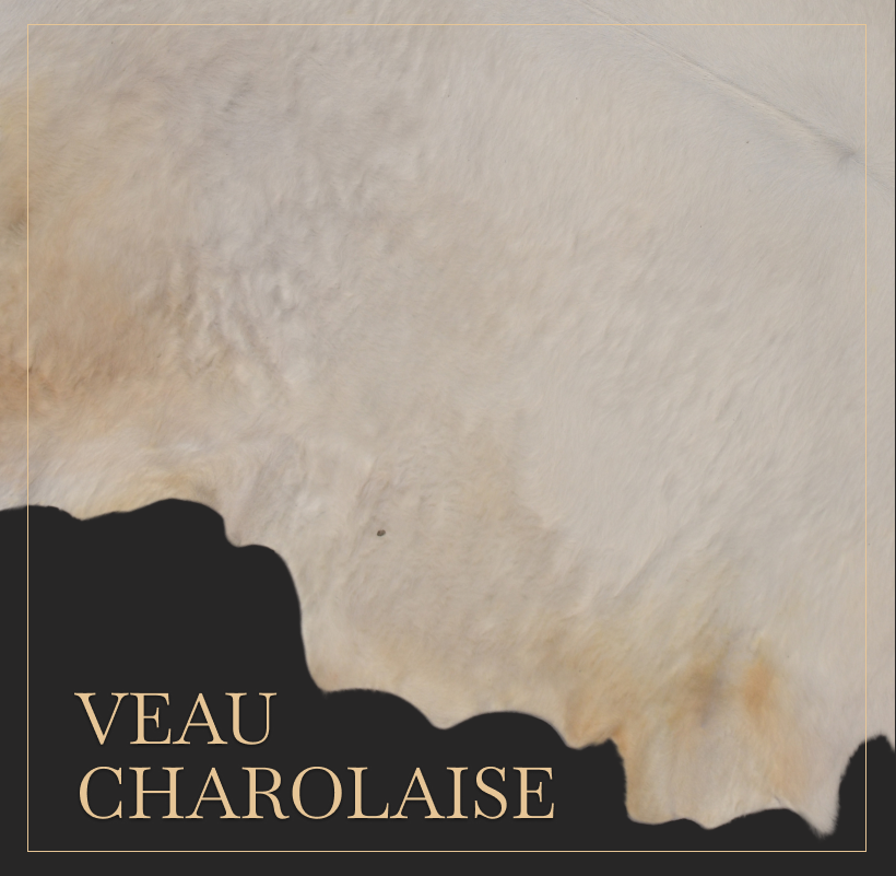 Peau Veau Charolaise