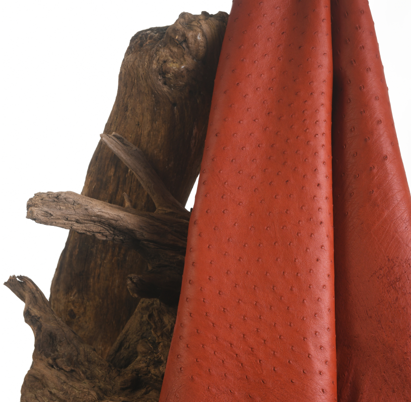 Cuir d’Autruche Rouge Terracotta