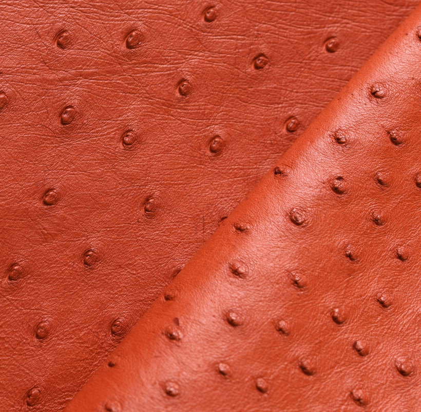 Cuir d’Autruche Rouge Terracotta